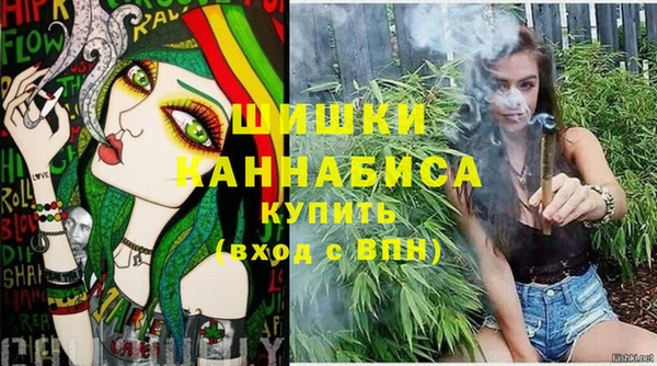 молекула духа Нягань