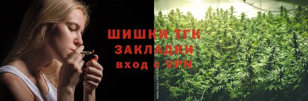 твердый Аркадак