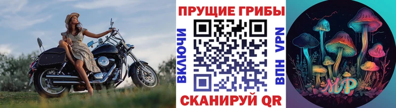 Псилоцибиновые грибы ЛСД  Трёхгорный 